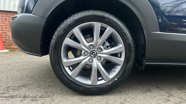 Mazda CX-30 2.5 e-Skyactiv G MHEV [140] Takumi 5dr Petrol Hatchback